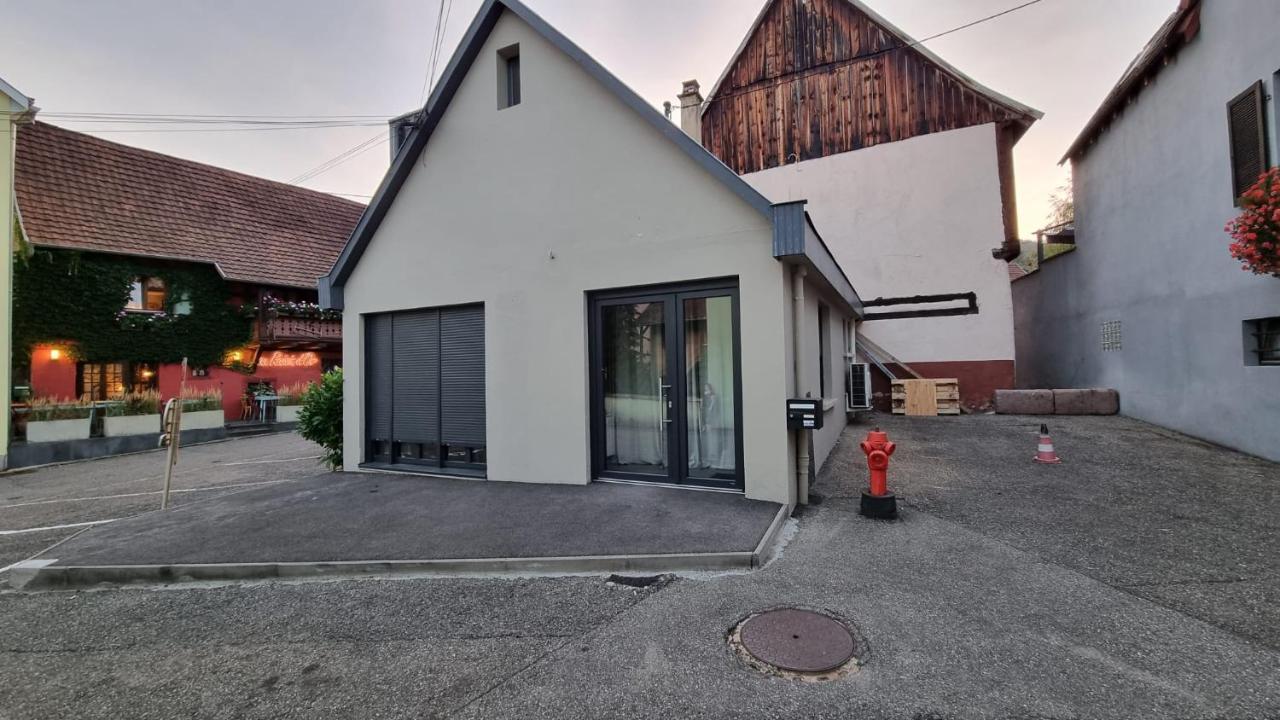 Villa Nid 2 Cigognes à Zimmerbach Extérieur photo